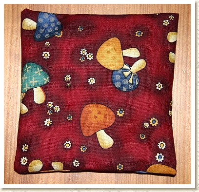 Dinkelkissen für Kinder 15